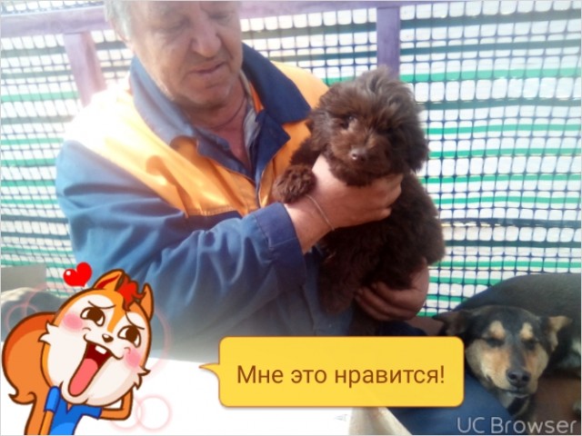 Николай, Россия, Екатеринбург, 61 год, 1 ребенок. Хочу найти Милую нежную красивуюОбщительный