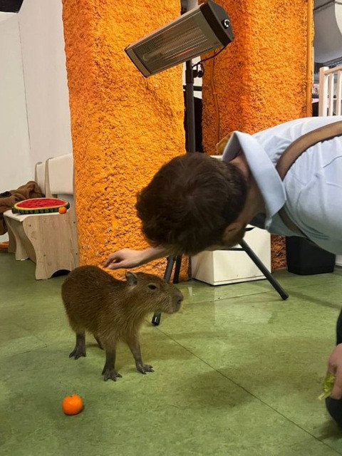 Эдвард, Россия, Москва. Фото на сайте ГдеПапа.Ру