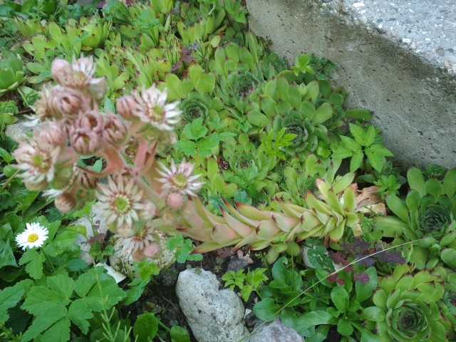 Евгений, Россия, Дмитров. Фото на сайте ГдеПапа.Ру