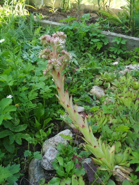 Евгений, Россия, Дмитров. Фото на сайте ГдеПапа.Ру