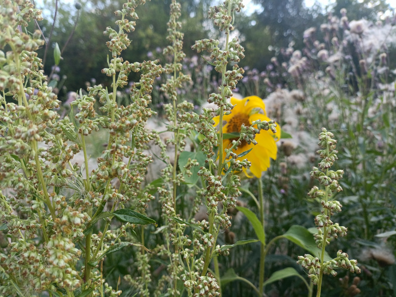 На рабочий стол.