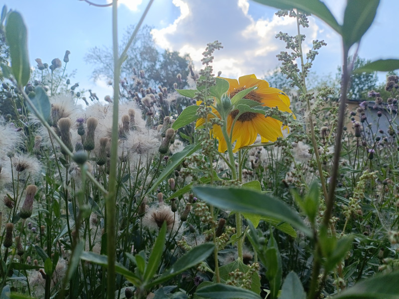 На рабочий стол.