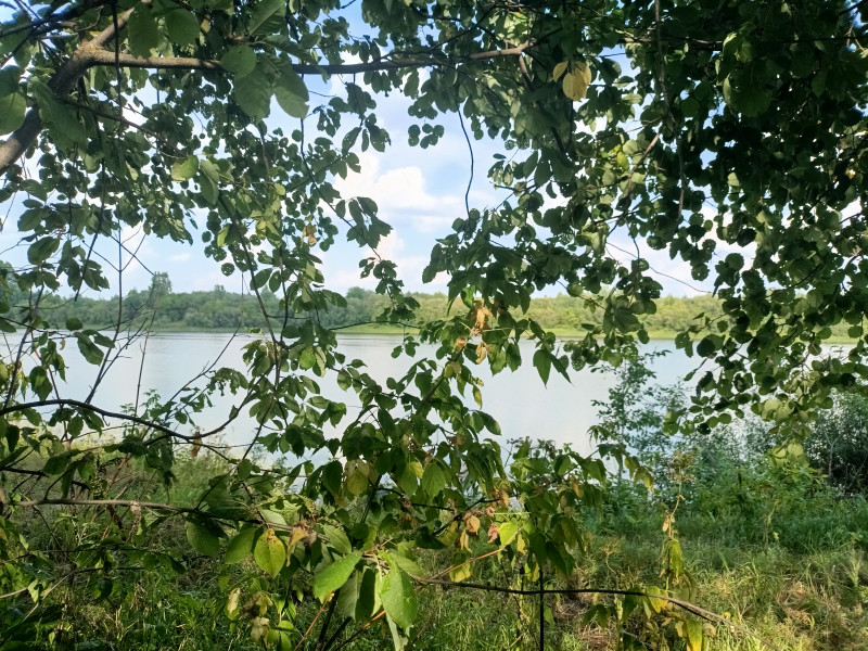 На рабочий стол.