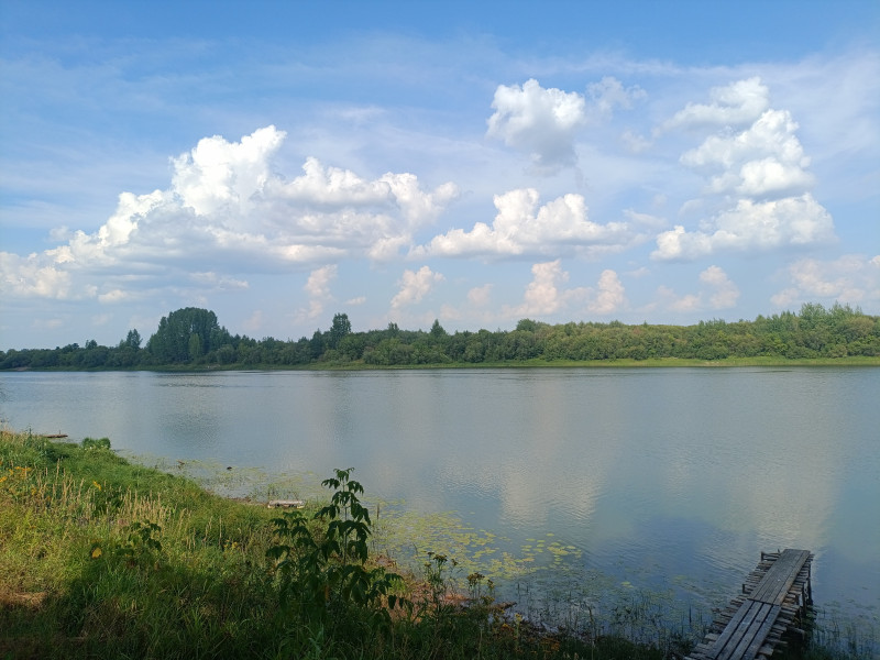 На рабочий стол.