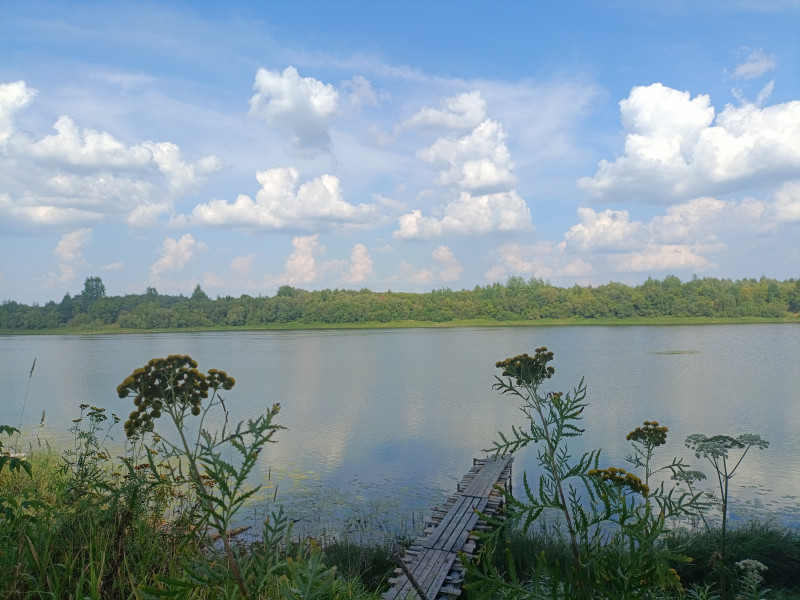 На рабочий стол.