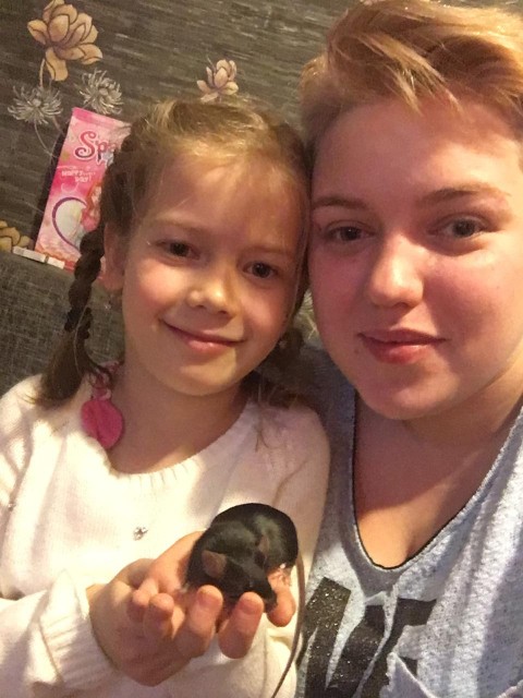 Аурика, Россия, Краснодар. Фото на сайте ГдеПапа.Ру