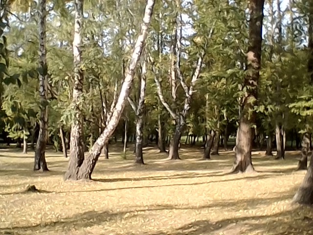 В парке (фото 2)