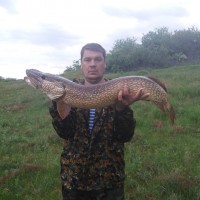 Дмитрий Никитин, Россия, Минусинск, 48 лет