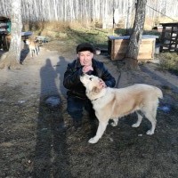 Юрий, Россия, Тюмень, 63 года