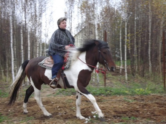 Светлана, Россия, Клин. Фото на сайте ГдеПапа.Ру