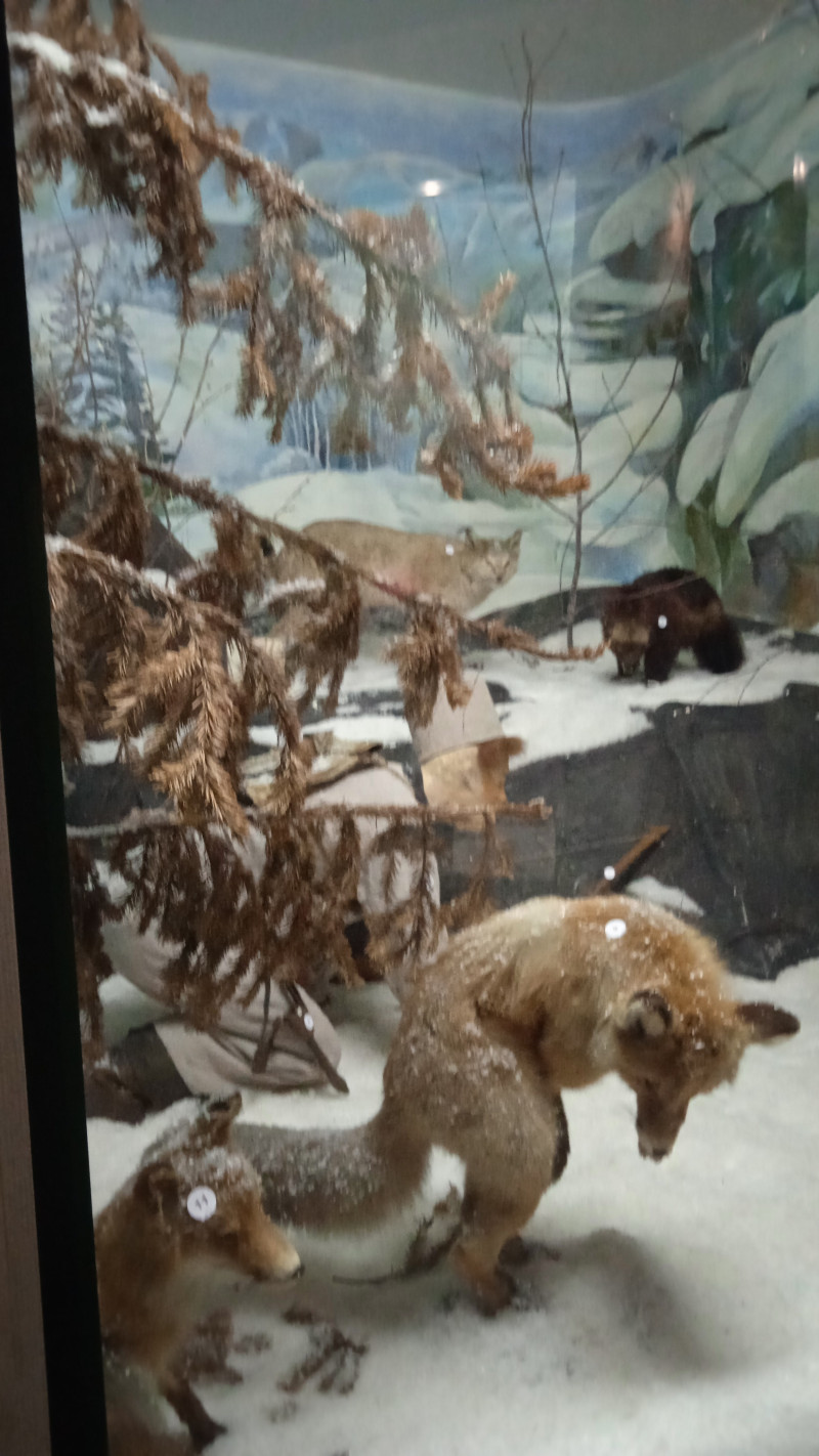 Короткая поездка