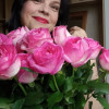 Лариса, Россия, Ставрополь, 54 года