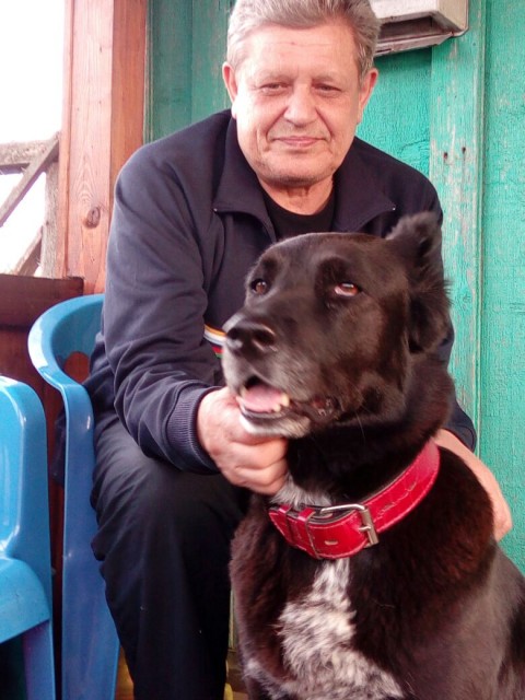 владимир, Россия, Москва, 69 лет, 2 ребенка. Вдовец, своя квартира  живу один