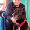 владимир, 69, Россия, Москва