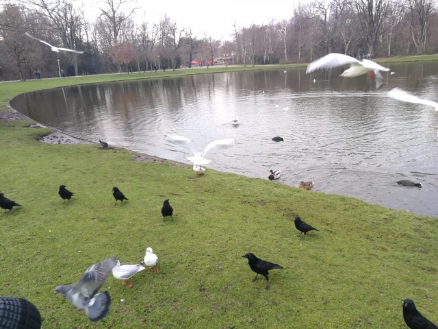 Артемий, Россия, Москва. Фото на сайте ГдеПапа.Ру