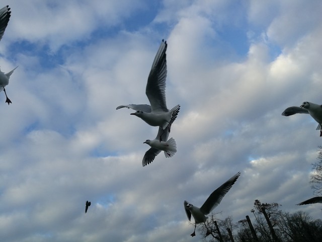 Артемий, Россия, Москва. Фото на сайте ГдеПапа.Ру