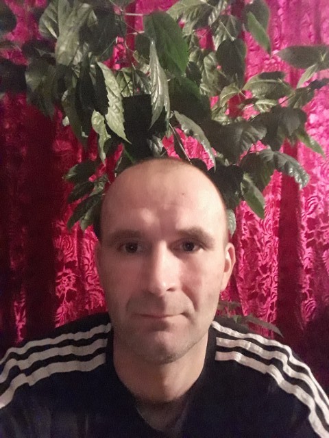 Сергей, Россия, Тольятти, 41 год, 2 ребенка. Хочу найти Честную, добрую, хорошую дев/жен. В разводе. Живу один. Дети уже взрослые. Работаю, непью, курю. 