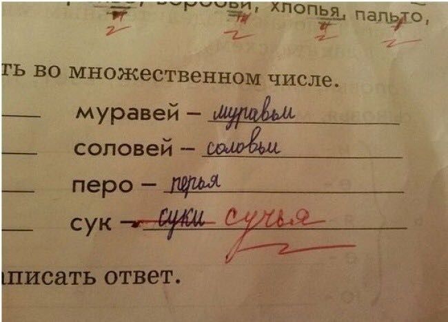 Школьные шедевры)