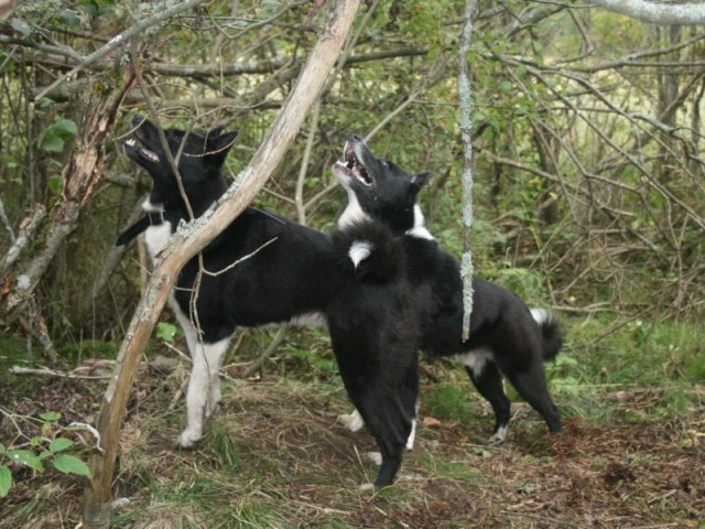 Евгений, Россия, Томск. Фото на сайте ГдеПапа.Ру