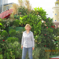 Наталья, Россия, московская область, 46 лет