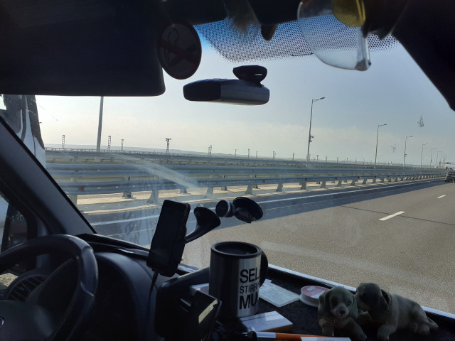 Василий, Россия, Москва. Фото на сайте ГдеПапа.Ру