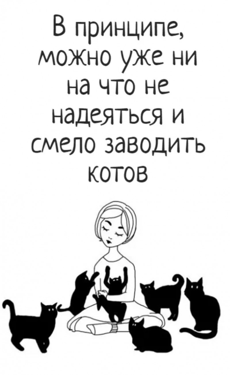 Сильная независимая моя читать. Независимая женщина с кошками. Независимая женщина и 40 кошек. Сильная и независимая женщина. 40 Кошек и одинокая женщина.