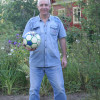 Анатолий, 75, Россия, Москва