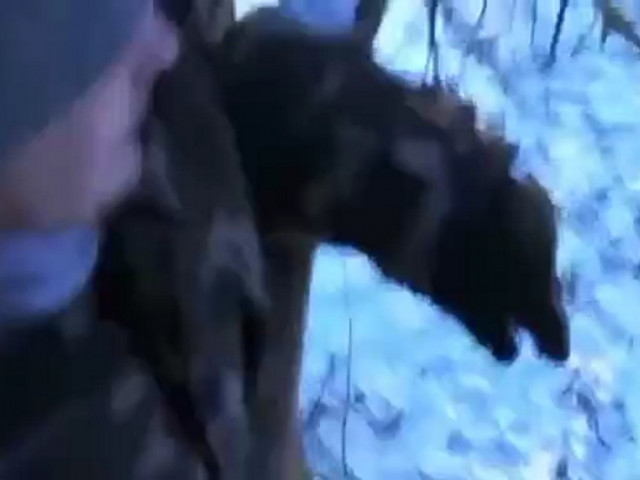 Алексейэ, Россия, Уфа. Фото на сайте ГдеПапа.Ру