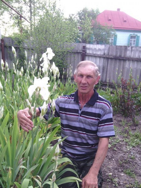 Владимир, Россия, Краснодар, 64 года. Хочу найти Создания семьи худенькуюВстретить любимую женщину живу в Краснодарском крае станице