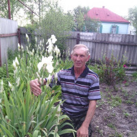 Владимир, Россия, Краснодар, 64 года