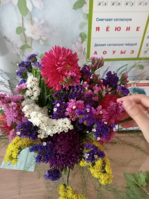 Елена , Россия, Братск. Фото на сайте ГдеПапа.Ру