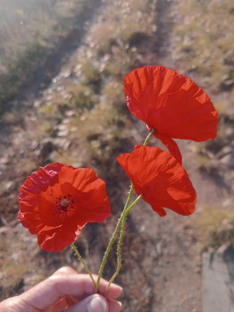 Елена , Россия, Братск. Фото на сайте ГдеПапа.Ру