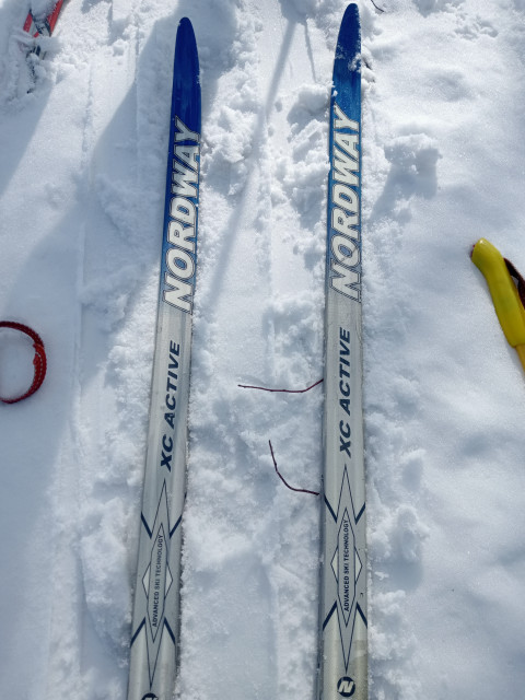 Елена , Россия, Братск. Фото на сайте ГдеПапа.Ру