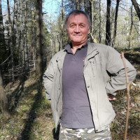 Сергей, Санкт-Петербург, м. Проспект Просвещения, 65 лет