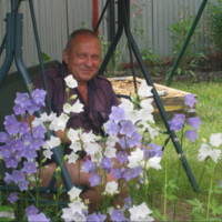 Виктор, Россия, Тула, 65 лет