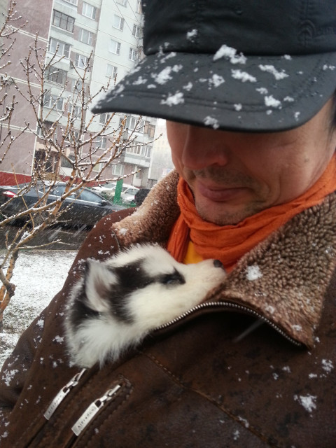 Денис, Россия, Москва. Фото на сайте ГдеПапа.Ру