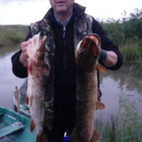 Владимир, Россия, Санкт-Петербург, 73 года