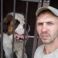Анатолий, Украина, Киев, 36 лет