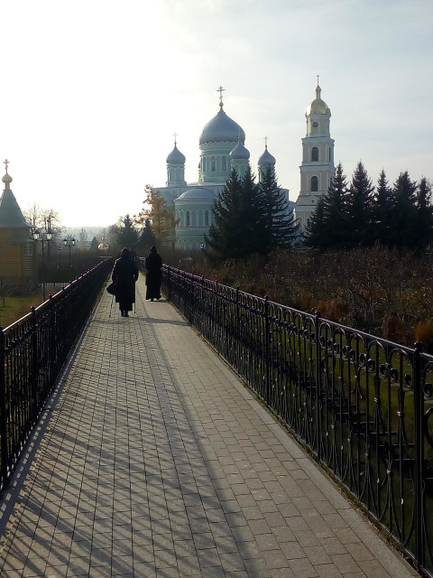 Андрей, Россия, Воскресенск. Фото на сайте ГдеПапа.Ру