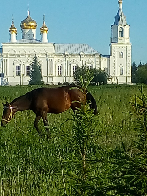 Андрей, Россия, Воскресенск. Фото на сайте ГдеПапа.Ру