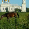 Андрей, Россия, Воскресенск. Фотография 920812