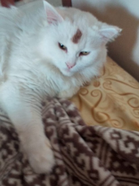 Геннадий, Россия, Нижний Новгород. Фото на сайте ГдеПапа.Ру