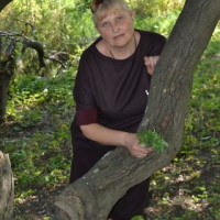 Шаповалова(Петр еченко) Шаповалова(Петреченко), Россия, Шахтёрск, 56 лет