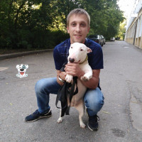 Максим Андреевич, Россия, Санкт-Петербург, 34 года