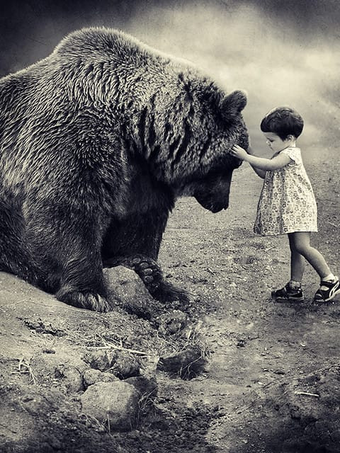 Евгений, Россия, Балашиха. Фото на сайте ГдеПапа.Ру