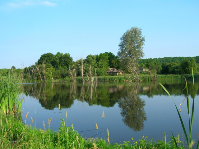 Фермерский пруд, недалеко от Борисовки