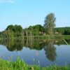 Фермерский пруд, недалеко от Борисовки