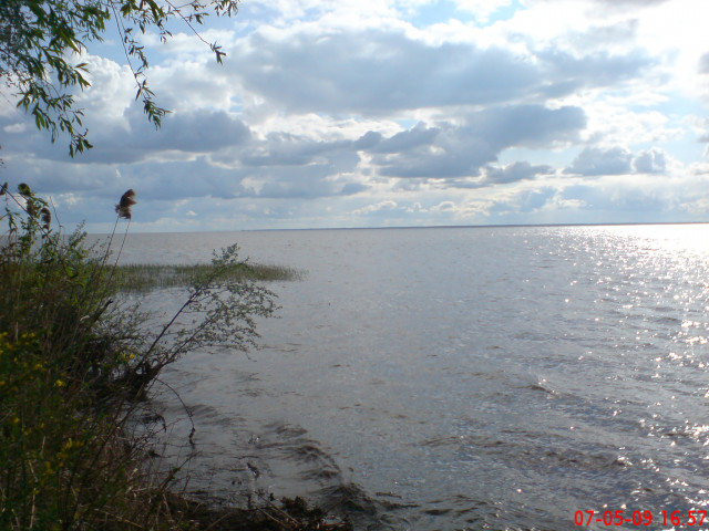 Евгений, Украина, Киев. Фото на сайте ГдеПапа.Ру