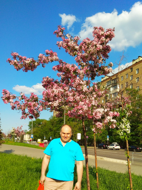 эдуард, Россия, Москва. Фото на сайте ГдеПапа.Ру