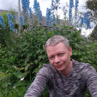 Денис, Россия, Кострома, 41 год